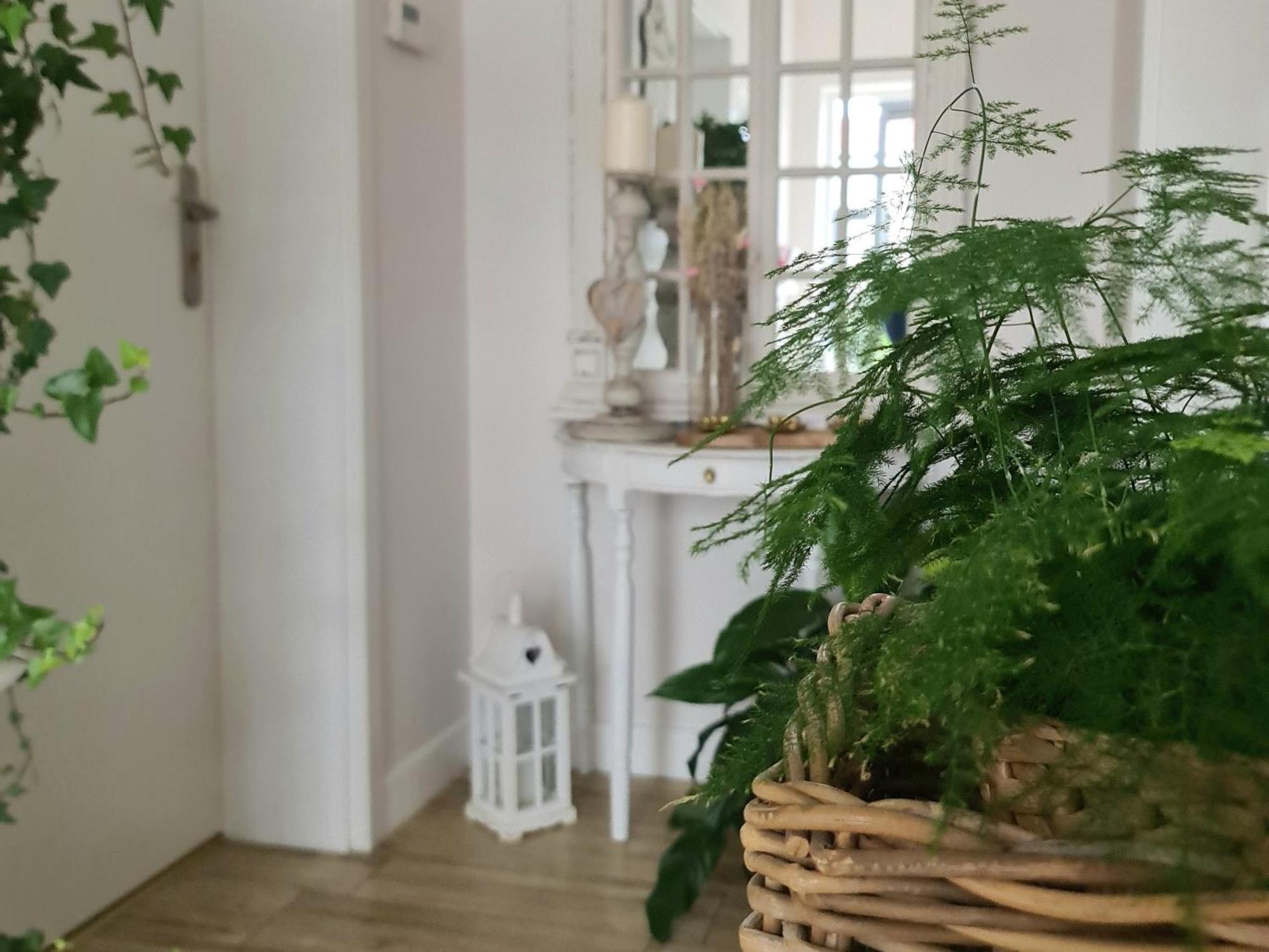 Apartamenty "La Villa" Z Klimatyzacja, Ogrodem, Parkingiem, Blisko Centrum Кудова-Здрой Екстериор снимка